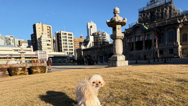 2026に入りまして